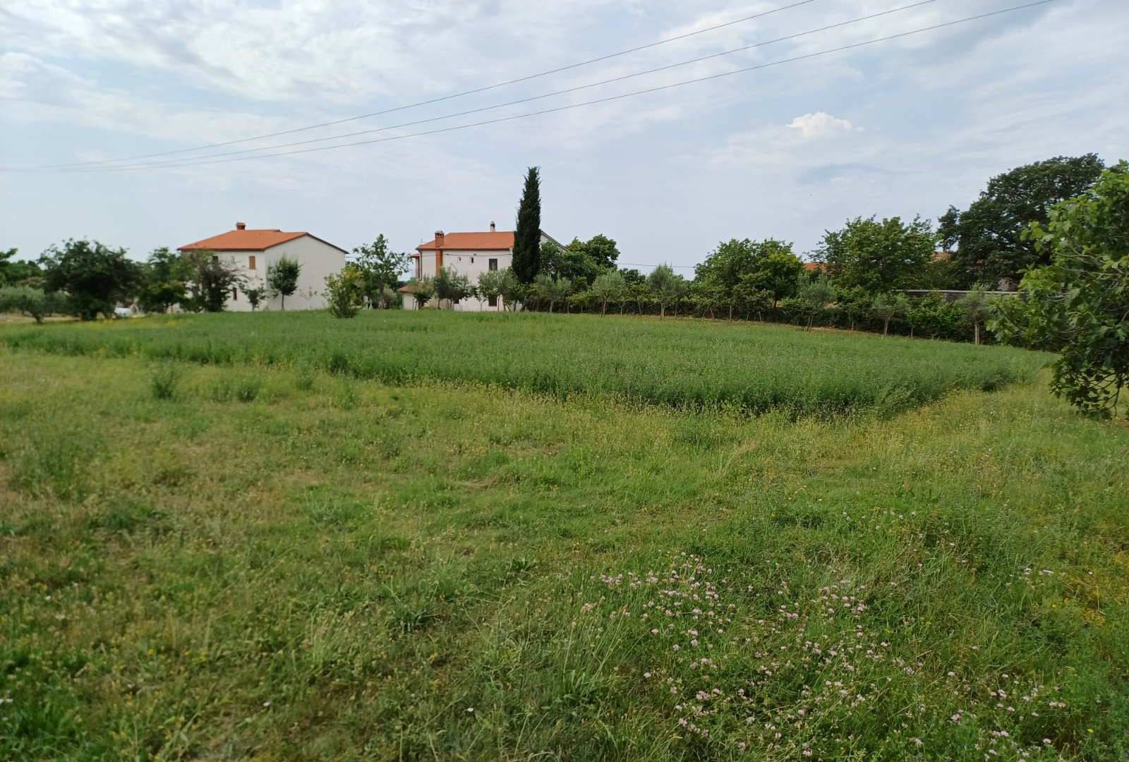 Građevinsko zemljište na prodaju Barban